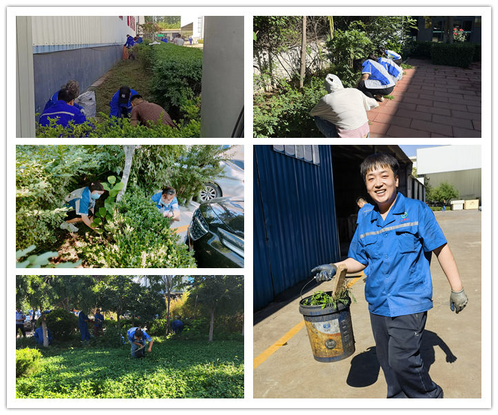 大家清掃、拾撿綠化帶垃圾，清理路邊縫隙死角內(nèi)的煙頭和雜物.jpg